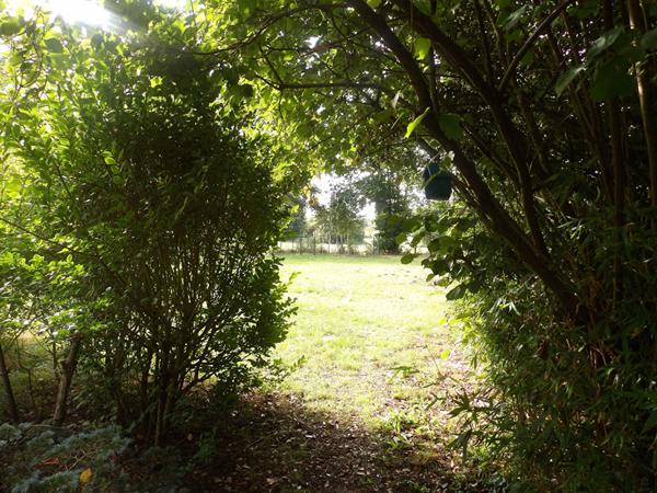 Maison style architecte des années 70 dans un cadre exceptionnel et lumineux.