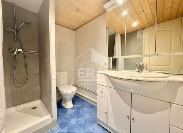 Appartement Villeurbanne T1 Bis 21 m2