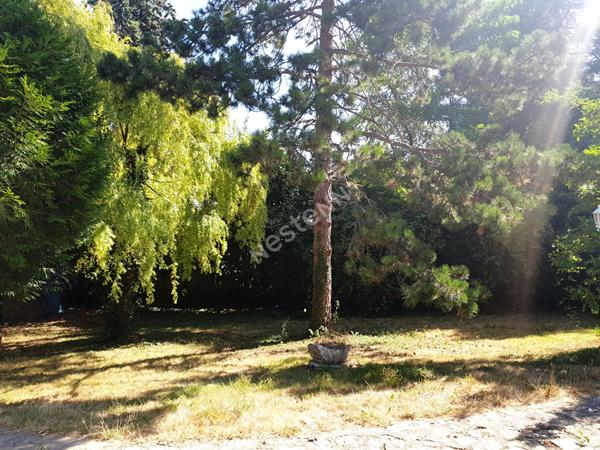 Terrain Torcy 396 m2