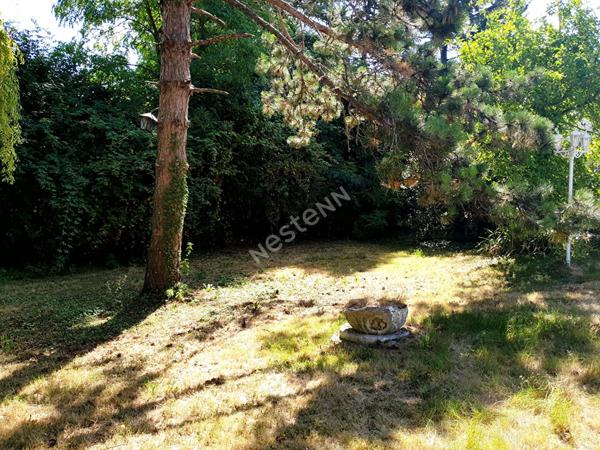 Terrain Torcy 396 m2