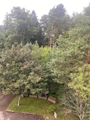 ✨ À vendre – Studio rénové avec balcon aux 3 Épis ✨