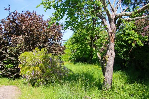 Maison à vendre 4 pièces SIORAC EN PERIGORD, sous-sol de 100m² exploitable  jardin 1933m².