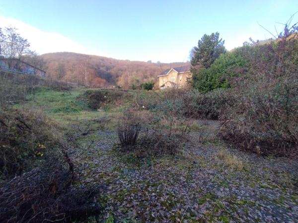 Terrain constructible plus de 13 ares