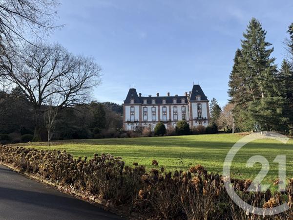 Appartement F8 à vendre  8 pièces - 362,90 m2 ST DIE DES VOSGES - 88