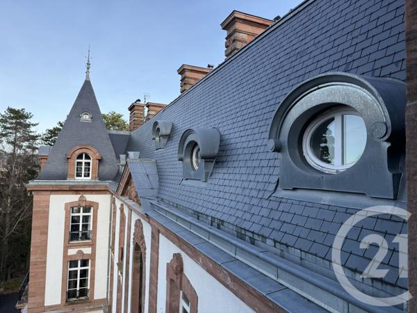 Appartement F8 à vendre  8 pièces - 362,90 m2 ST DIE DES VOSGES - 88