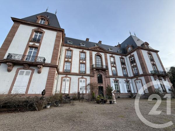 Appartement F8 à vendre  8 pièces - 362,90 m2 ST DIE DES VOSGES - 88
