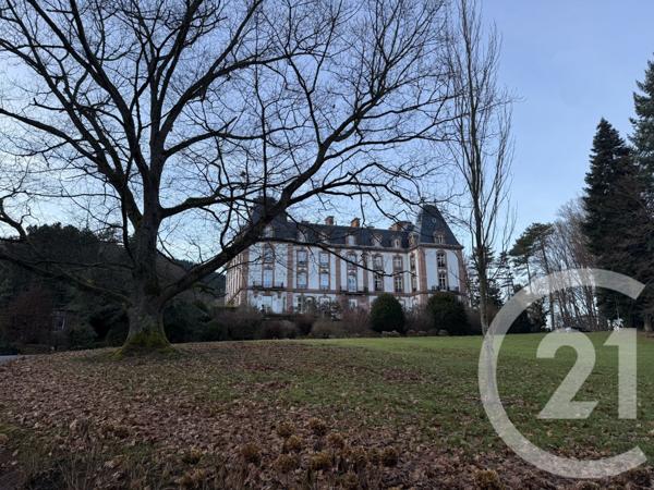 Appartement F8 à vendre  8 pièces - 362,90 m2 ST DIE DES VOSGES - 88
