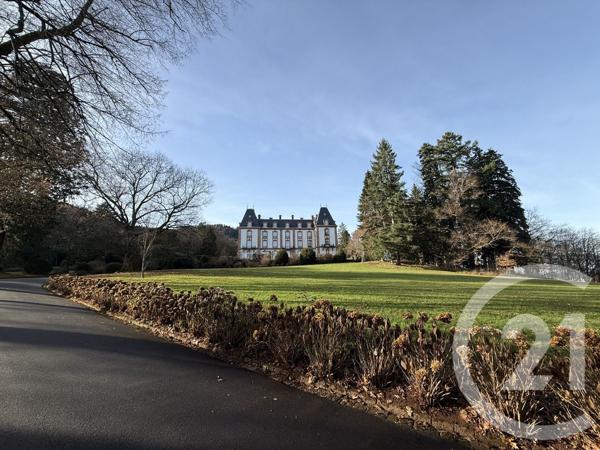 Appartement F8 à vendre  8 pièces - 362,90 m2 ST DIE DES VOSGES - 88