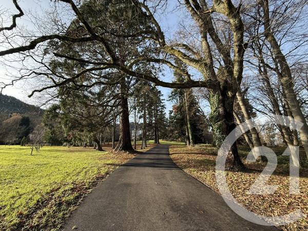 Appartement F8 à vendre  8 pièces - 362,90 m2 ST DIE DES VOSGES - 88