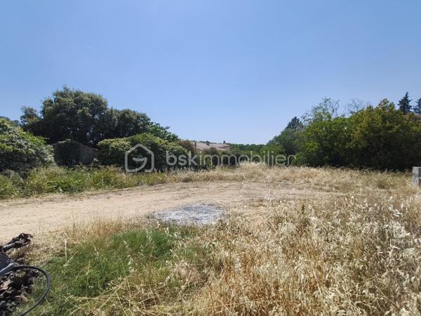 Chez BSK Immobilier ,David O6O3553368 vous propose deux grands terrains constructibles et en cours de viabilisation .
Ces terrains sont situés en limite du village ,proches de la nature mais aussi de l'autoroute (moins de 3 minutes en voiture ).
Idéalement situés ,ils sont pratiquement plats .
Cette parcelle ne peut pas être divisée et ne doit accueillir qu'une seule habitation pour garder une certaine intimité et grand confort .
.Libre de tout constructeur.
Pour plus de renseignements ,contacter David O6O3553368 .