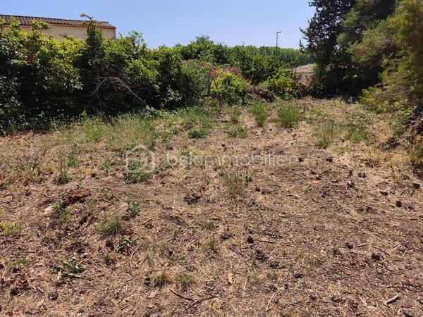 Chez BSK Immobilier ,David O6O3553368 vous propose deux grands terrains constructibles et en cours de viabilisation .
Ces terrains sont situés en limite du village ,proches de la nature mais aussi de l'autoroute (moins de 3 minutes en voiture ).
Idéalement situés ,ils sont pratiquement plats .
Cette parcelle ne peut pas être divisée et ne doit accueillir qu'une seule habitation pour garder une certaine intimité et grand confort .
.Libre de tout constructeur.
Pour plus de renseignements ,contacter David O6O3553368 .