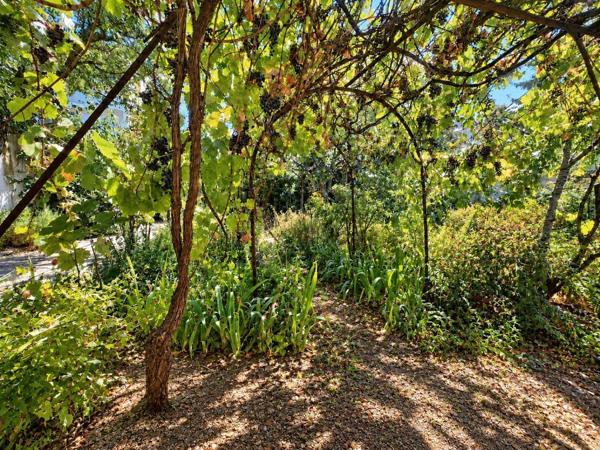 Maisons à vendre sur Alfortville à 5 minutes du Centre Ville d' Alfortville
