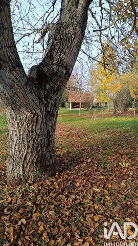 Maison à vendre 3 pièces 65 m² Buzançais