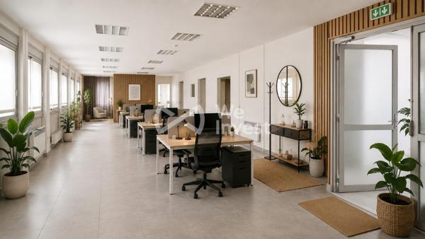 LOCAL COMMERCIAL A USAGE PROFESSIONNEL