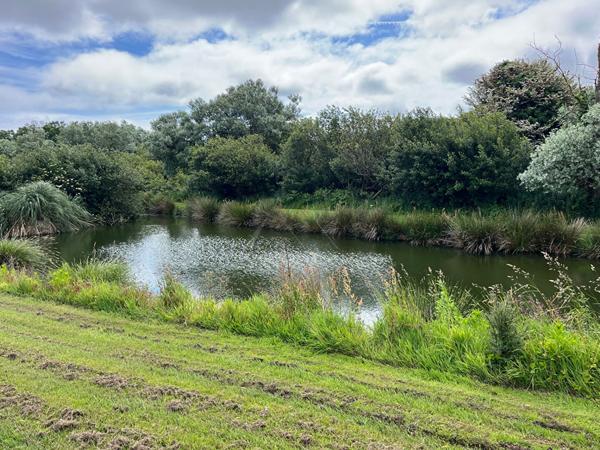 LONGERE A VENDRE PLOUGUERNEAU PLAGE DU VOUGOT