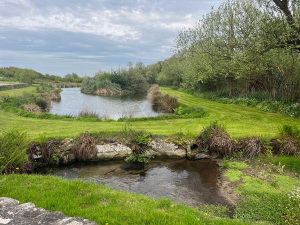 LONGERE A VENDRE PLOUGUERNEAU PLAGE DU VOUGOT