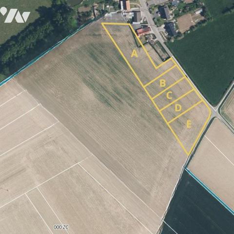 ✨EN EXCLUSIVITE✨