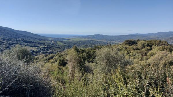 Investissement locatif  Sollacaro (20140)