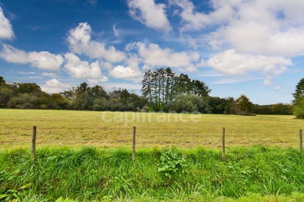 Maison à vendre 7 pièces CHANGE (72)