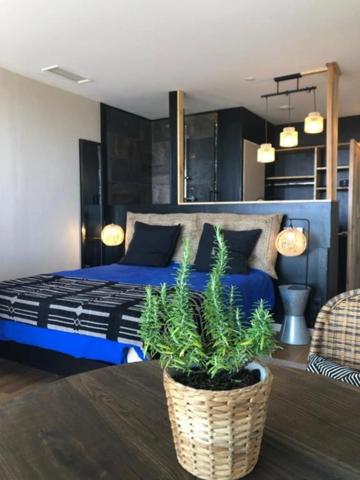 Appartement à vendre 5 pièces CARCASSONNE 105m2 environ (11) 3 chambres avec 2 terrasses et deux places de parking