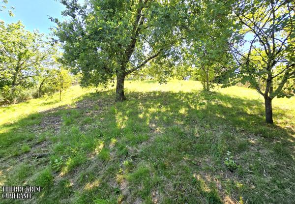 Maison à vendre 3 pièces, 75m², garage 42m², grand terrain clos