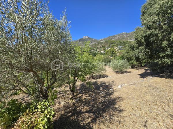 A découvrir,
Sur les hauteurs de Roquevaire, à Lascours, lieu calme et recherché, maison familiale et traditionnelle de 151 m2, au pied du Garlaban et des départs de sentiers, avec piscine, sur terrain en restanques arboré de 1900 m2 environ.
Au rez-de-chaussée, dans un style provençal, un  salon séjour cosy avec cheminée, une cuisine, une chambre, une salle d'eau avec toilettes, une buanderie, deux terrasses dont une abritée.
A l'étage, un salon séjour pouvant devenir une chambre, deux chambres, un bureau avec un grand placard, une salle de bain, toilettes séparés.
Ce bien dispose de combles aménagées en espace nuit avec 2 pièces mansardées, salle de bain, grenier.
Au sous-sol, 1 cave.
A l'extérieur, local piscine, forage, parking.
Ce bien est proche du centre de Roquevaire, de toutes les commodités (commerces, écoles, services), au carrefour d'axes autoroutiers (Marseille, Aix, Toulon) et à 20 mn de la mer.
Cette propriété séduira les amateurs de nature et de paysages si bien décrits par Marcel Pagnol dans la Gloire de mon père  "Garlaban, c'est une énorme tour de roches bleues, plantée au bord de Plan de l'Aigle, cet immense plateau rocheux qui domine la vallée".