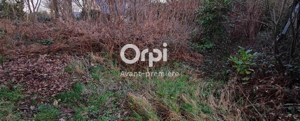 Terrain à vendre    Riec-sur-Belon