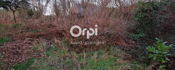 Terrain à vendre    Riec-sur-Belon