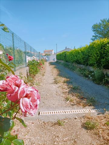 Montady – Maison familiale sur plus de 1 000 m² de terrain