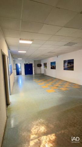 Location local d’activité 790 m² Les Ulis