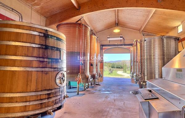 A vendre - Domaine viticole de 30 hectares - Sud Luberon
