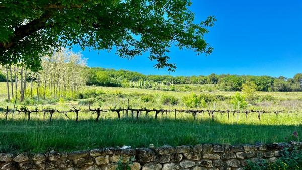 A vendre - Domaine viticole de 30 hectares - Sud Luberon