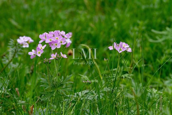 Terrain de 515  m² viabilisé proche Plouay
