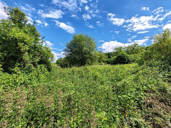 Vente Terrain 1493 m2 à Villers-Cotterêts