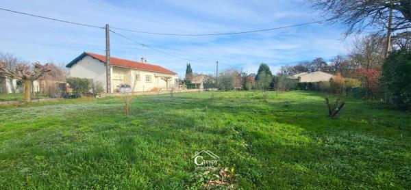 Vente / Terrain