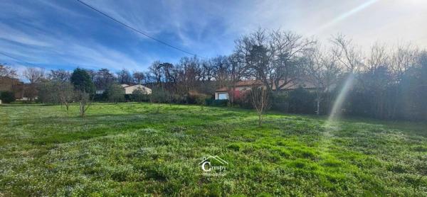 Vente / Terrain