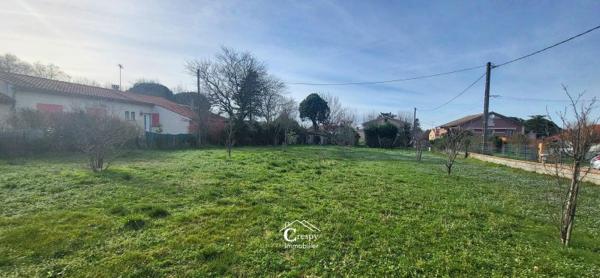 Vente / Terrain