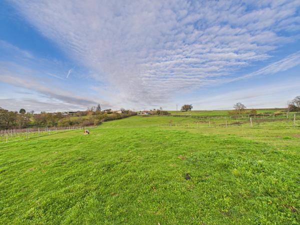 Maison + studio sur terrain de 1,7 hectare : liberté et espaces garantis
