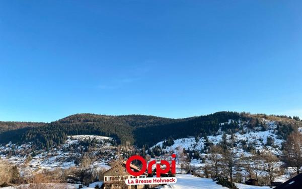Terrain à vendre    La Bresse