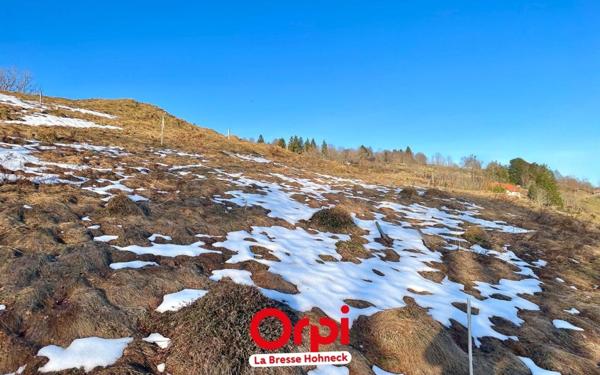 Terrain à vendre    La Bresse