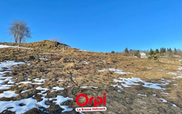 Terrain à vendre    La Bresse