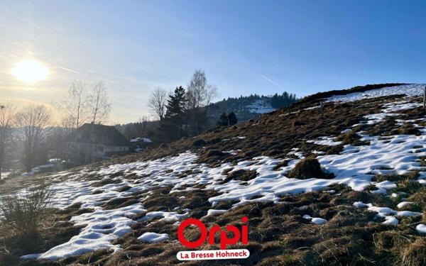 Terrain à vendre    La Bresse