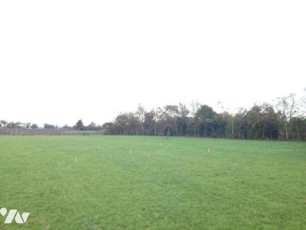 Vente Terrain à bâtir à Mesnil-Clinchamps