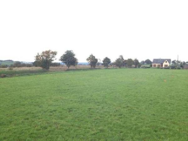 Vente Terrain à bâtir à Mesnil-Clinchamps