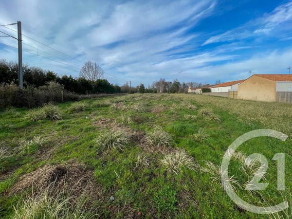 Terrain à vendre  2400 m2 OLONNE SUR MER - 85