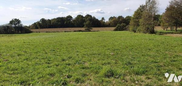terrain à bâtir à vendre à porcaro 56 morbihan