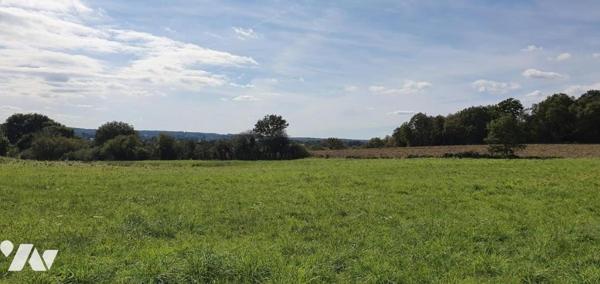 terrain à bâtir à vendre à porcaro 56 morbihan