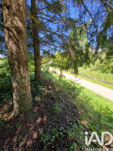 Terrain à vendre 2 437 m² Coubon