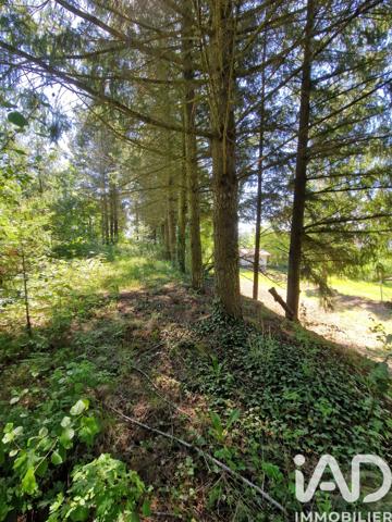 Terrain à vendre 2 437 m² Coubon