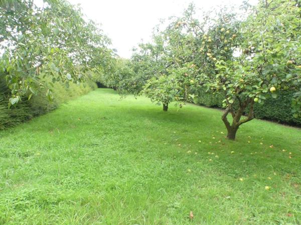 Maison à louer à Saint-Pair-sur-Mer dans la Manche (50380), ref : 028/1585